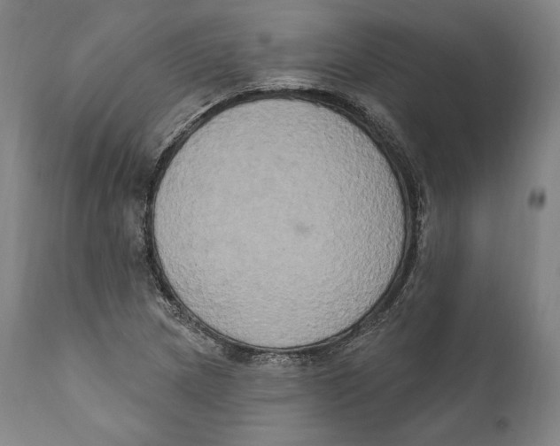 X0000111021217200907101332