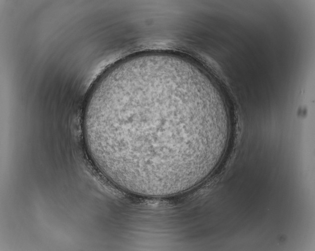 X0000111021218200907101332