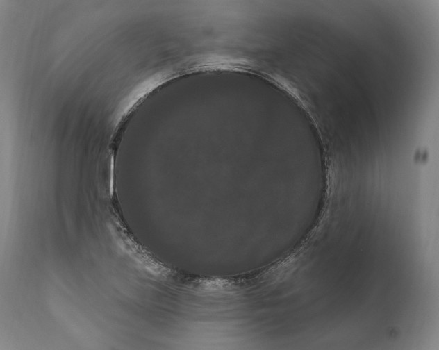 X0000111021219200907101332