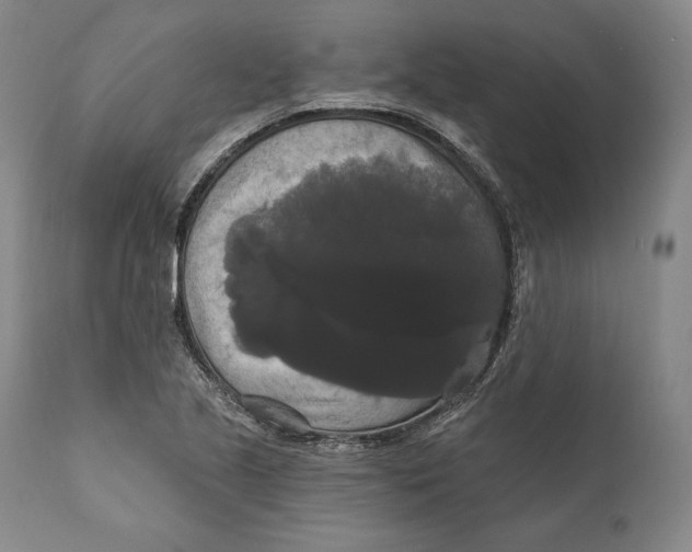 X0000111021221200907101332