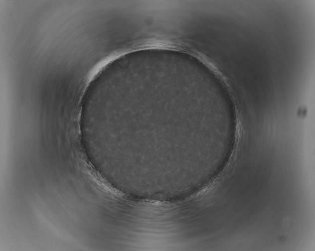 X0000111021222200907101332