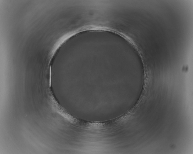 X0000111021223200907101332