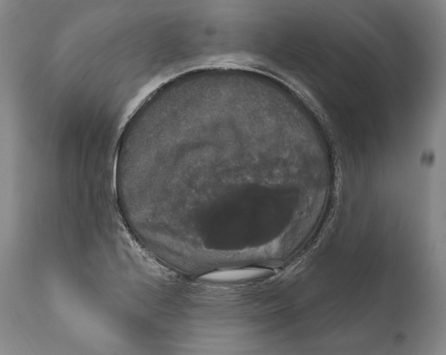 X0000111021224200907101332