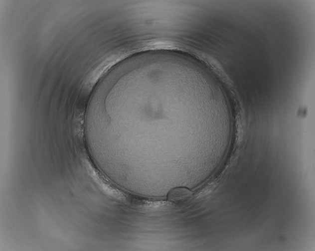 X0000111021225200907101332