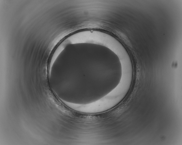 X0000111021226200907101332