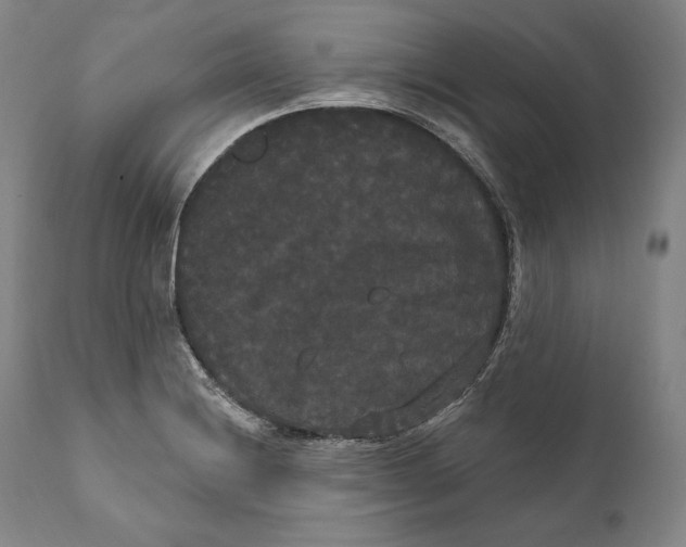 X0000111021228200907101332