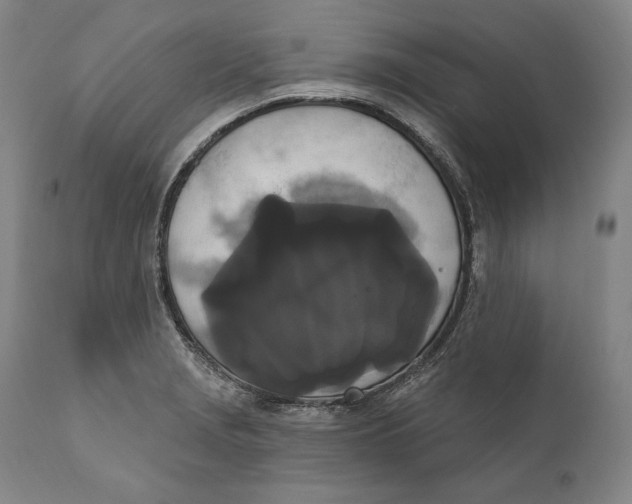 X0000111021229200907101332