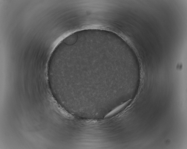 X0000111021230200907101332