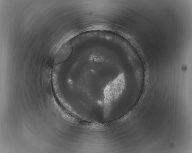 X0000111021233200907101332