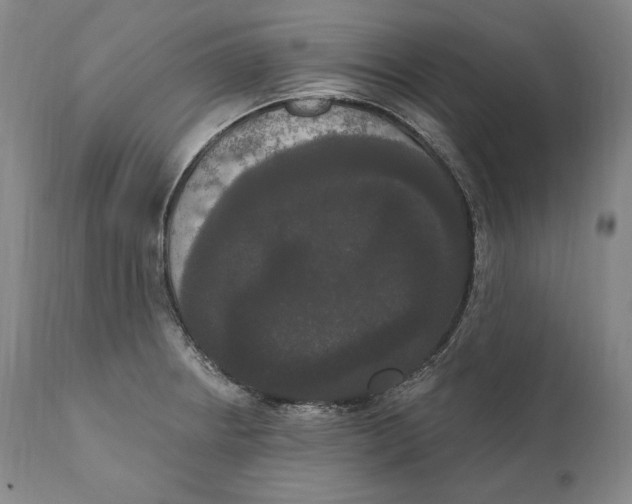 X0000111021234200907101332