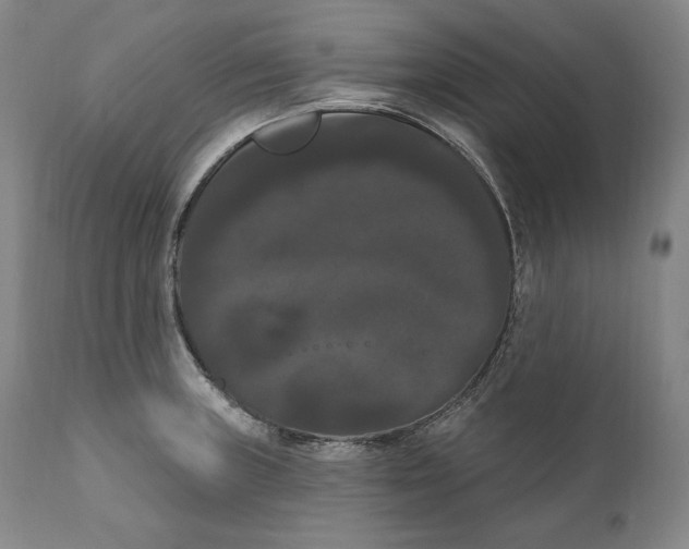 X0000111021235200907101332