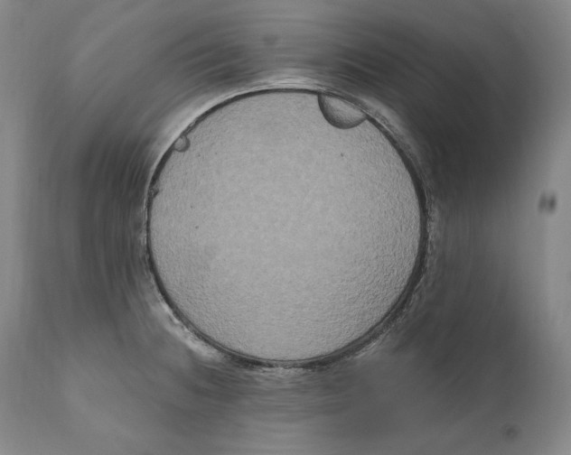 X0000111021236200907101332