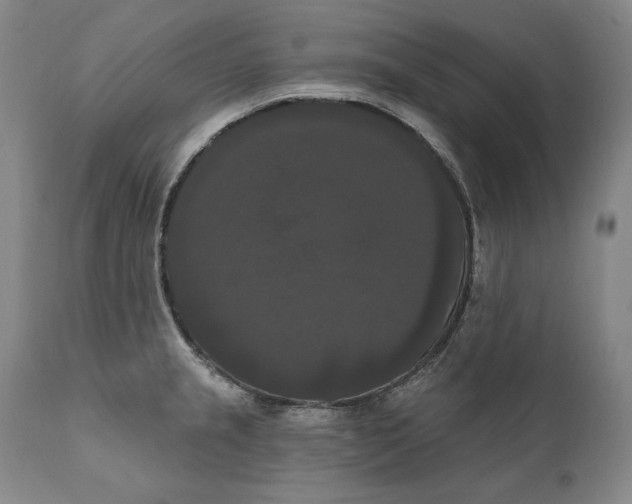 X0000111021237200907101332
