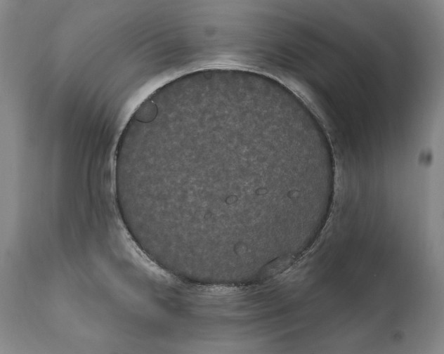 X0000111021238200907101333