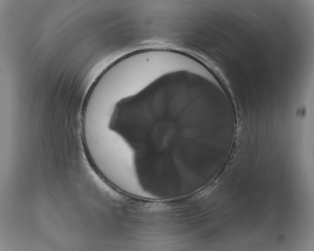 X0000111021239200907101333