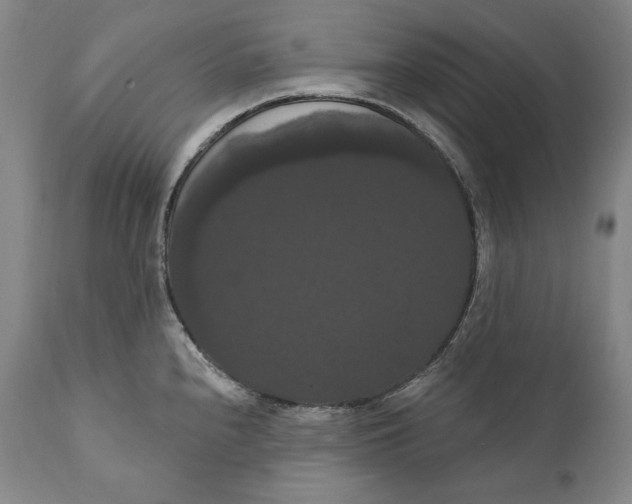 X0000111021240200907101333