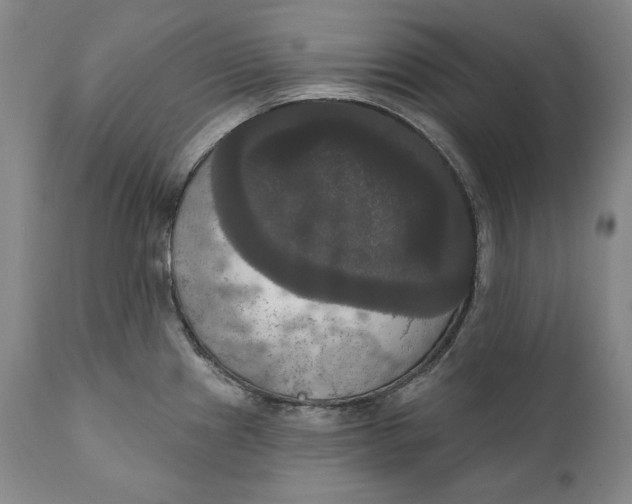 X0000111021241200907101333