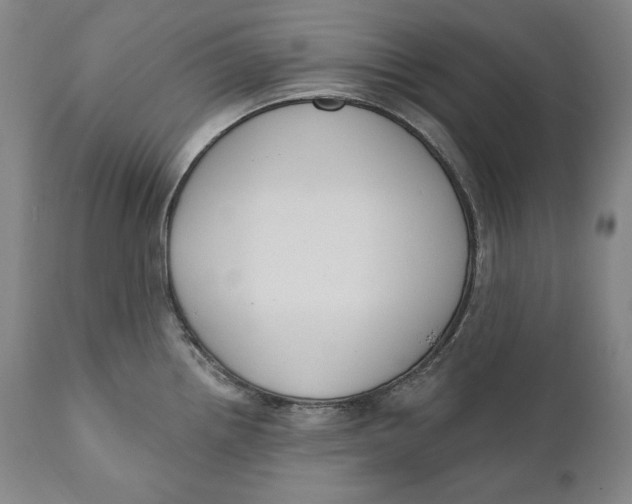 X0000111021242200907101333