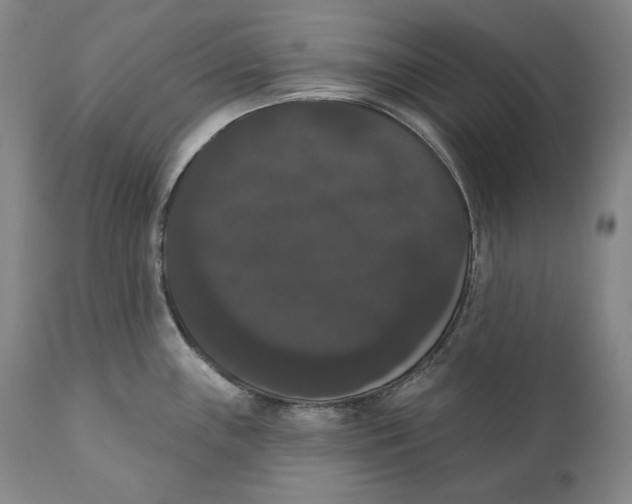 X0000111021243200907101333