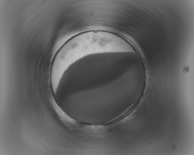 X0000111021244200907101333