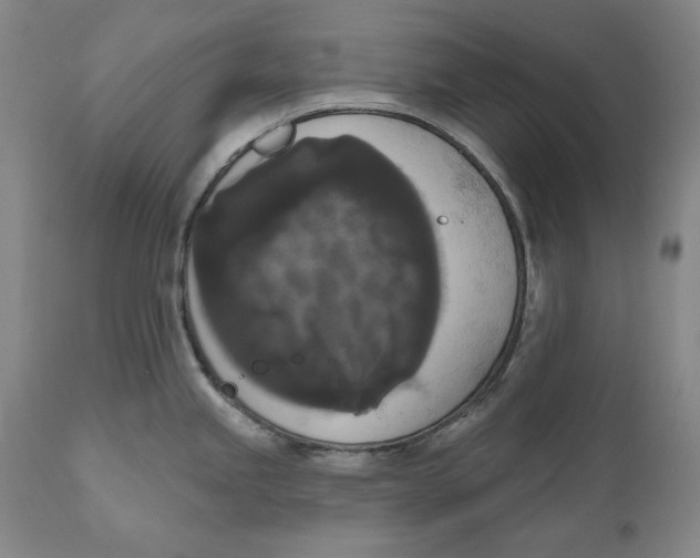 X0000111021245200907101333