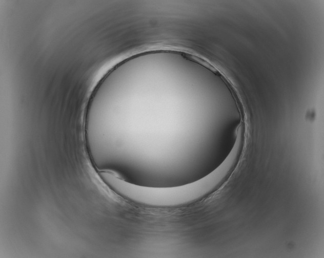 X0000111021246200907101333