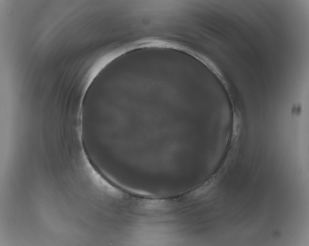 X0000111021247200907101333