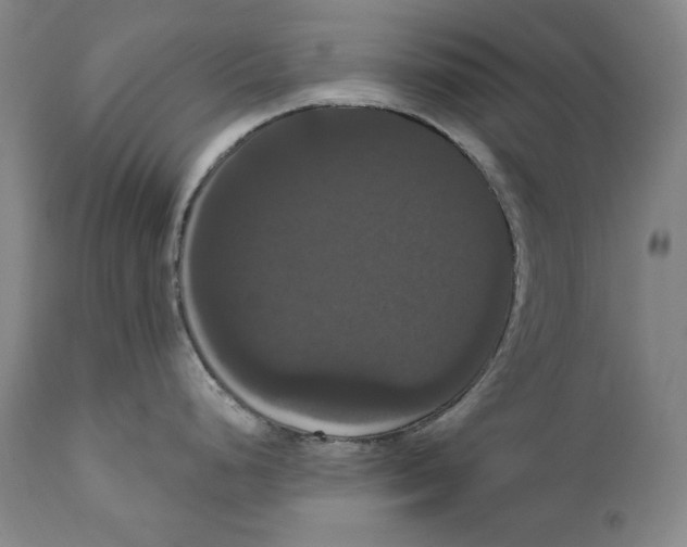 X0000111021248200907101333
