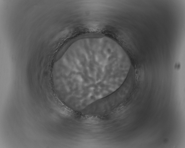 X0000111021249200907101332