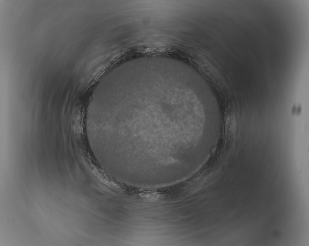 X0000111021250200907101332