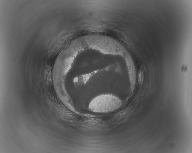 X0000111021251200907101332