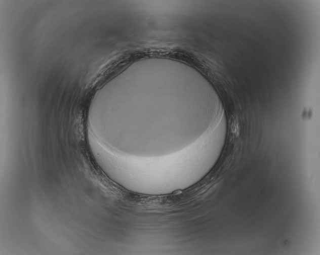 X0000111021252200907101332