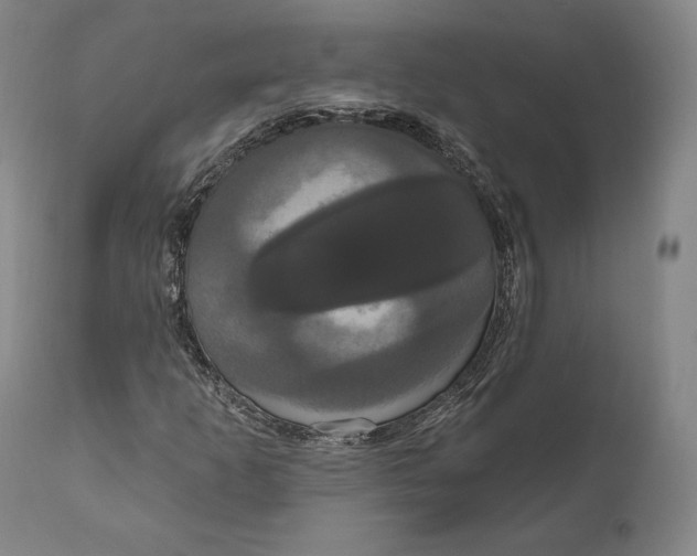 X0000111021253200907101332