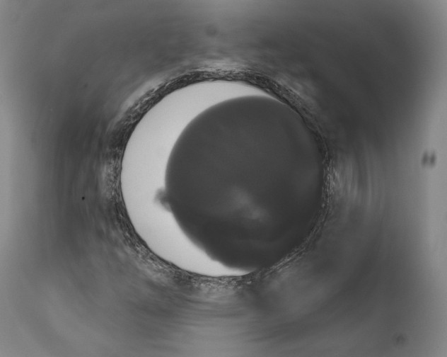 X0000111021254200907101332