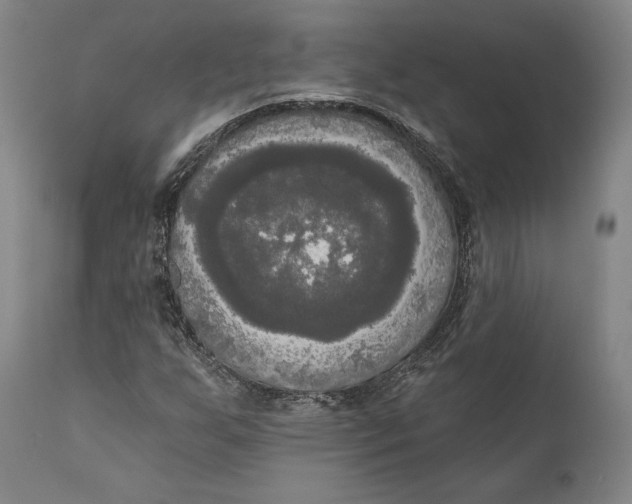 X0000111021255200907101332