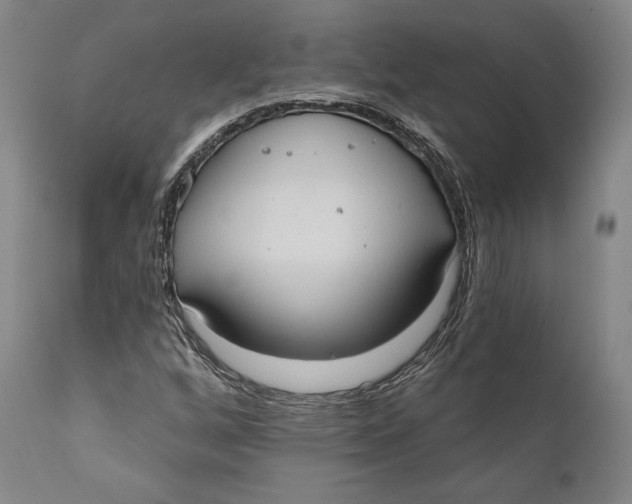 X0000111021256200907101332