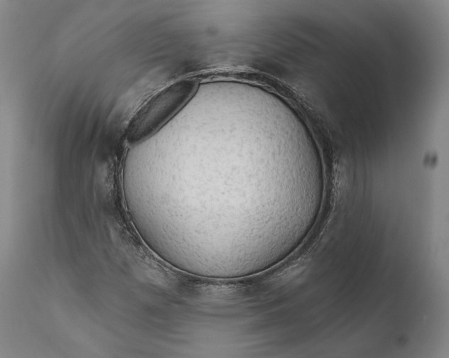 X0000111021257200907101332