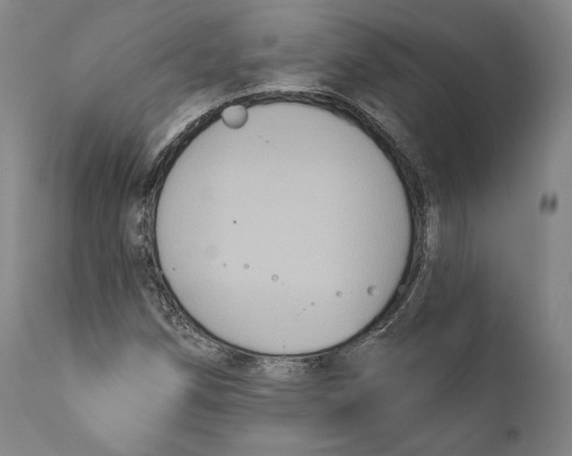 X0000111021258200907101332