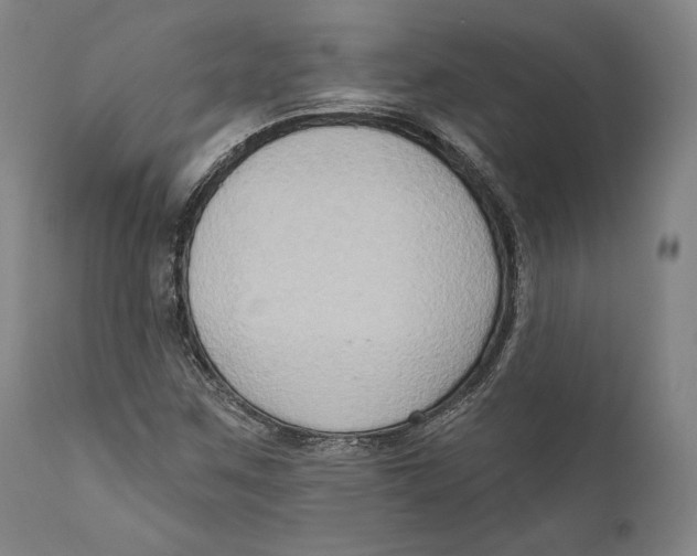 X0000111021259200907101332