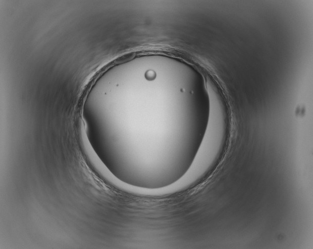 X0000111021260200907101332