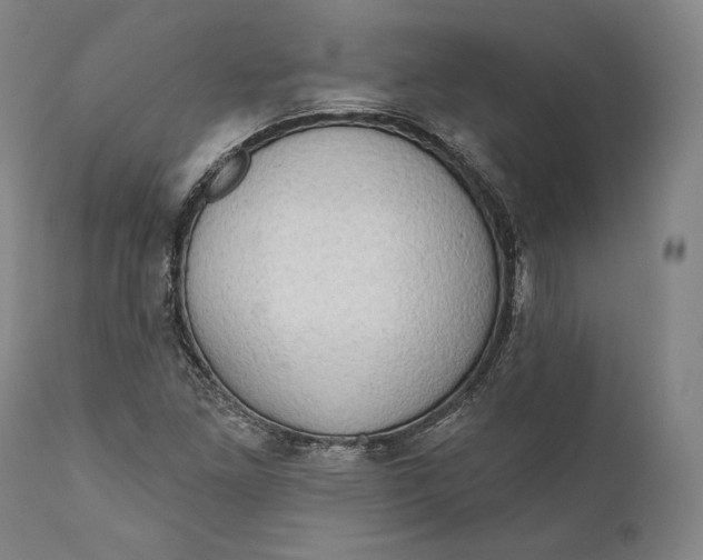 X0000111021261200907101332