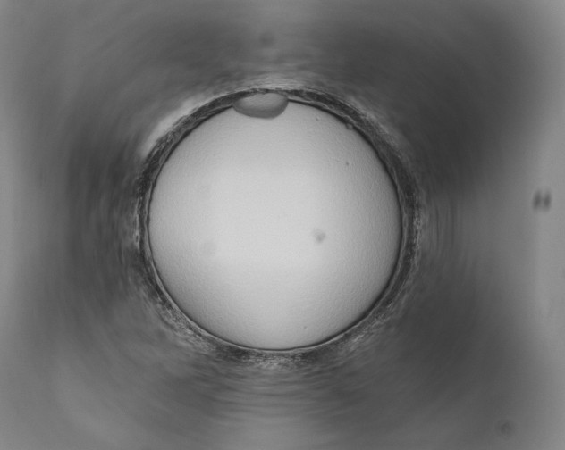 X0000111021262200907101332