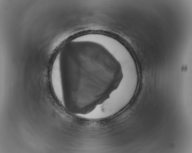 X0000111021263200907101332