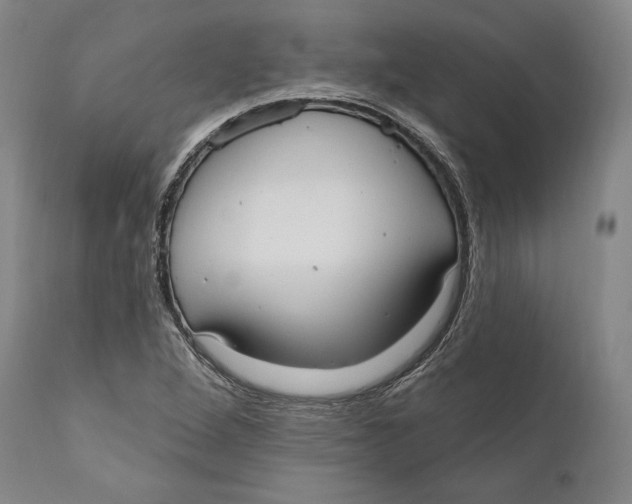 X0000111021264200907101332