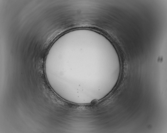X0000111021265200907101332