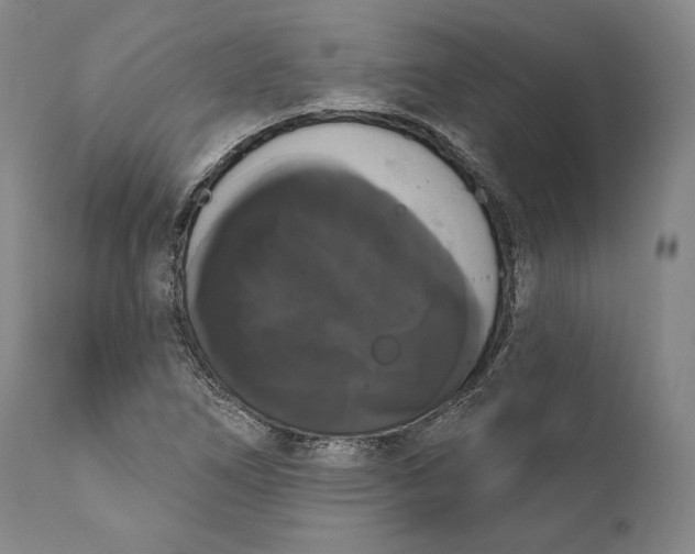 X0000111021266200907101332