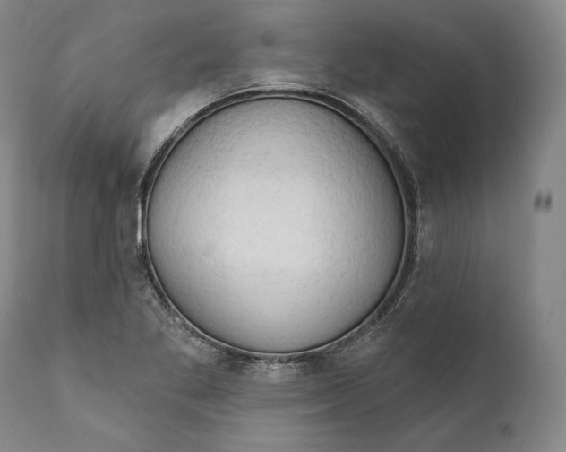 X0000111021269200907101332