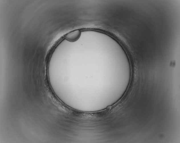 X0000111021270200907101332