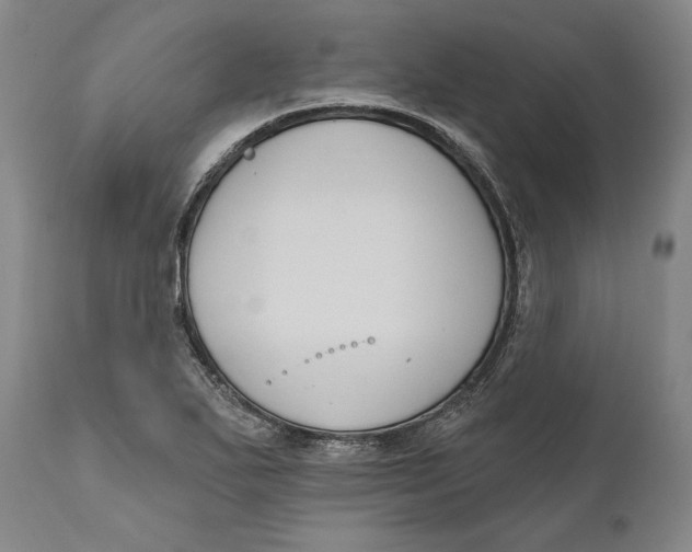 X0000111021271200907101332