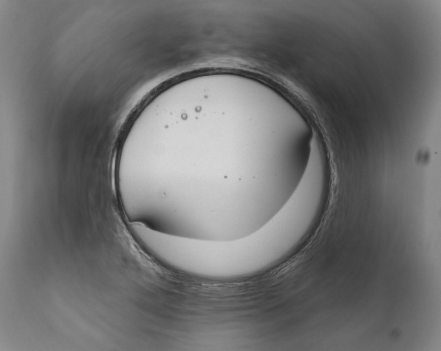 X0000111021272200907101332
